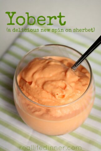 Yobert (a delicious new spin on sherbet) 2 ingredients