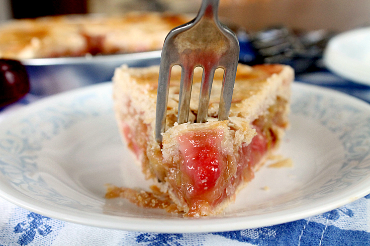 Moms-Rhubarb-Pie-4
