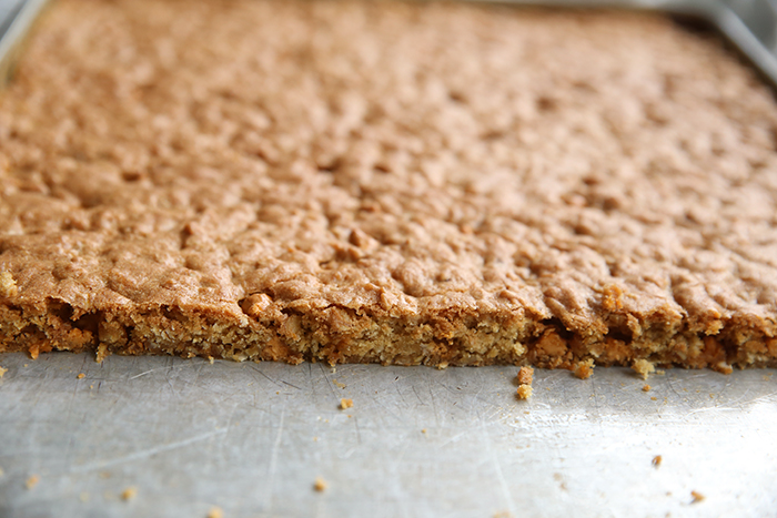 inside view of oatmeal scotchie bars. the pan of bars has been cut into so you can see the texture of the cookie bar