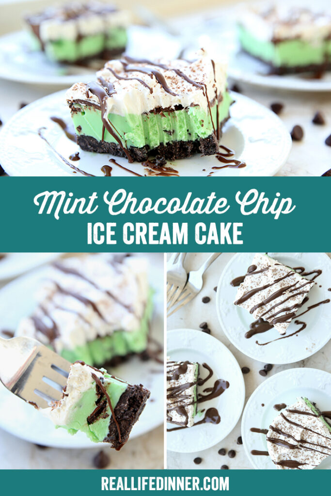 Mint Chocolate Chip Ice Cream Cake - Real Life Dinner