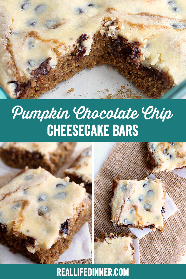 a pinterest collage photo of pumpkin chocolate chip cheesecake bars. it has three pictures in it.
