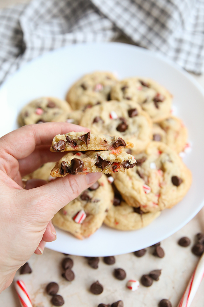 A hand held above a plate of the best peppermint chocolate chip cookies holding a cookie broken in half. Below the plate are chocolate chips scattered and a couple of candy canes. Above the plate is a white tea towel with blue checked and stripes.
