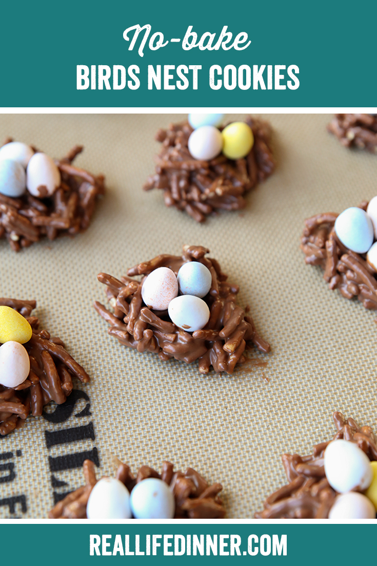 Pinterest picture of No-bake Birds Nest Cookies with the text of the title of the recipe at the top.