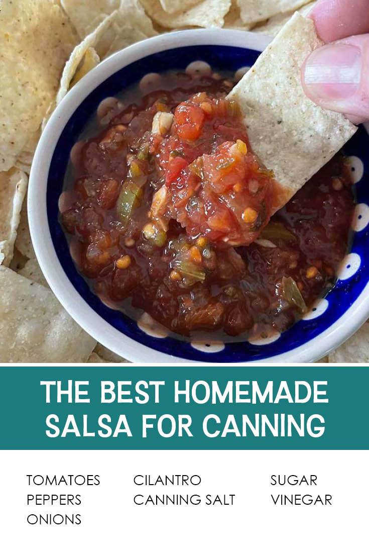 Pinterest picture of The Best Homemade Salsa for Canning with the text of the ingredients at the bottom and the text of the title above the ingredients list.