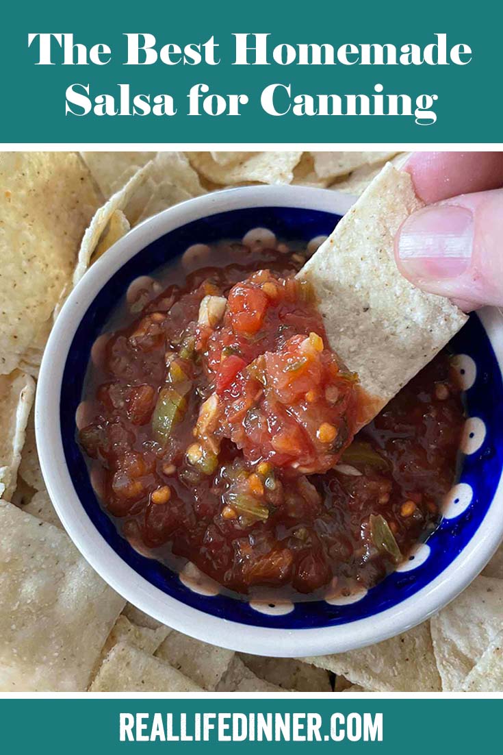 Pinterest picture of The Best Homemade Salsa for Canning with the text of the title at the top.