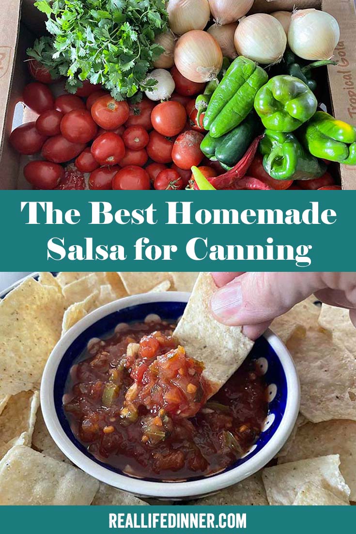 Two-photo Pinterest picture with the text of the title in the middle. The photo on top shows the ingredients to make the salsa, and the photo on the bottom is a large round plate with a bowl of salsa in the middle with a chip being scooped out with salsa. The bowl of salsa is surrounded by tortilla chips.