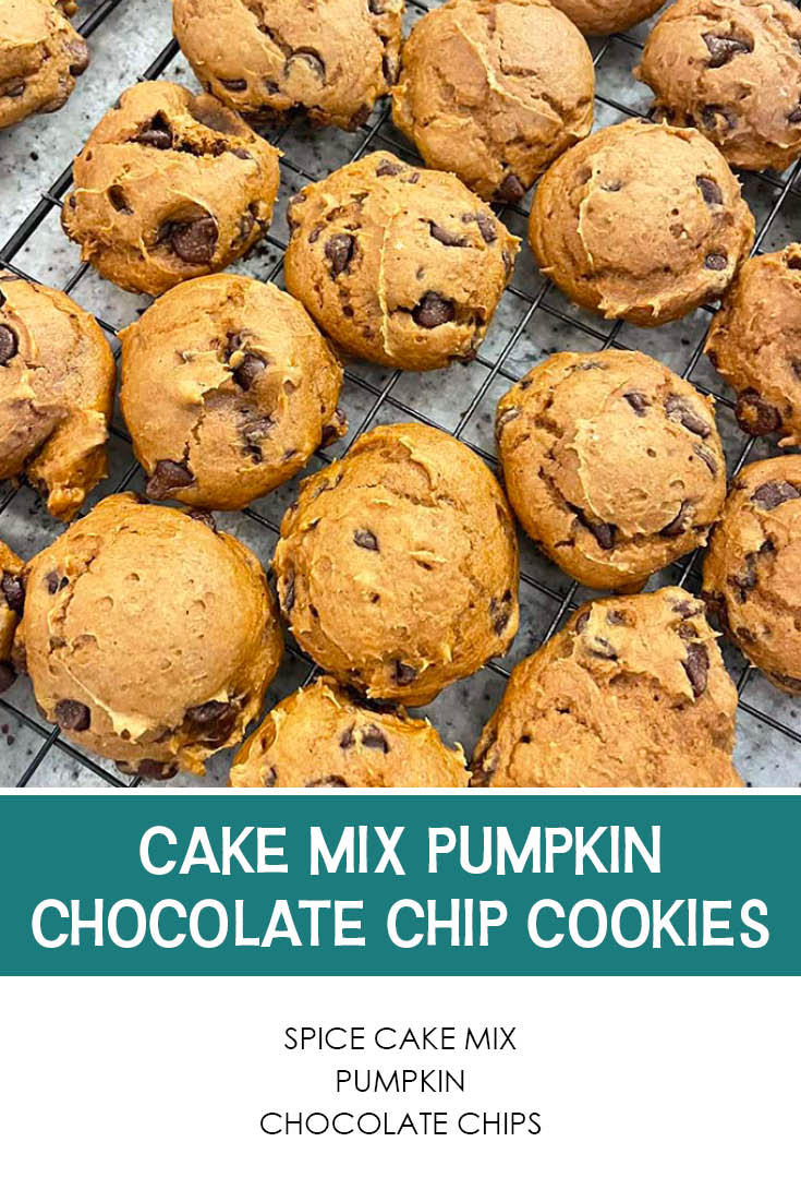 Pinterest picture of Cake Mix Pumpkin Chocolate Chip Cookies with the text of the ingredients at the bottom and the text of the title above the ingredients list.