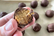 A chocolate-covered peanut butter ball bitten in half held above a baking sheet lined with parchment paper with more chocolate-covered peanut butter balls.